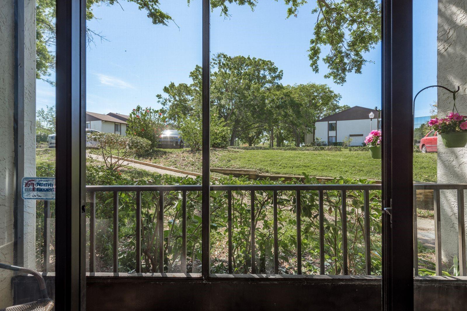 2575 PINE RIDGE WAY S #D1, PALM HARBOR, FL, 34684