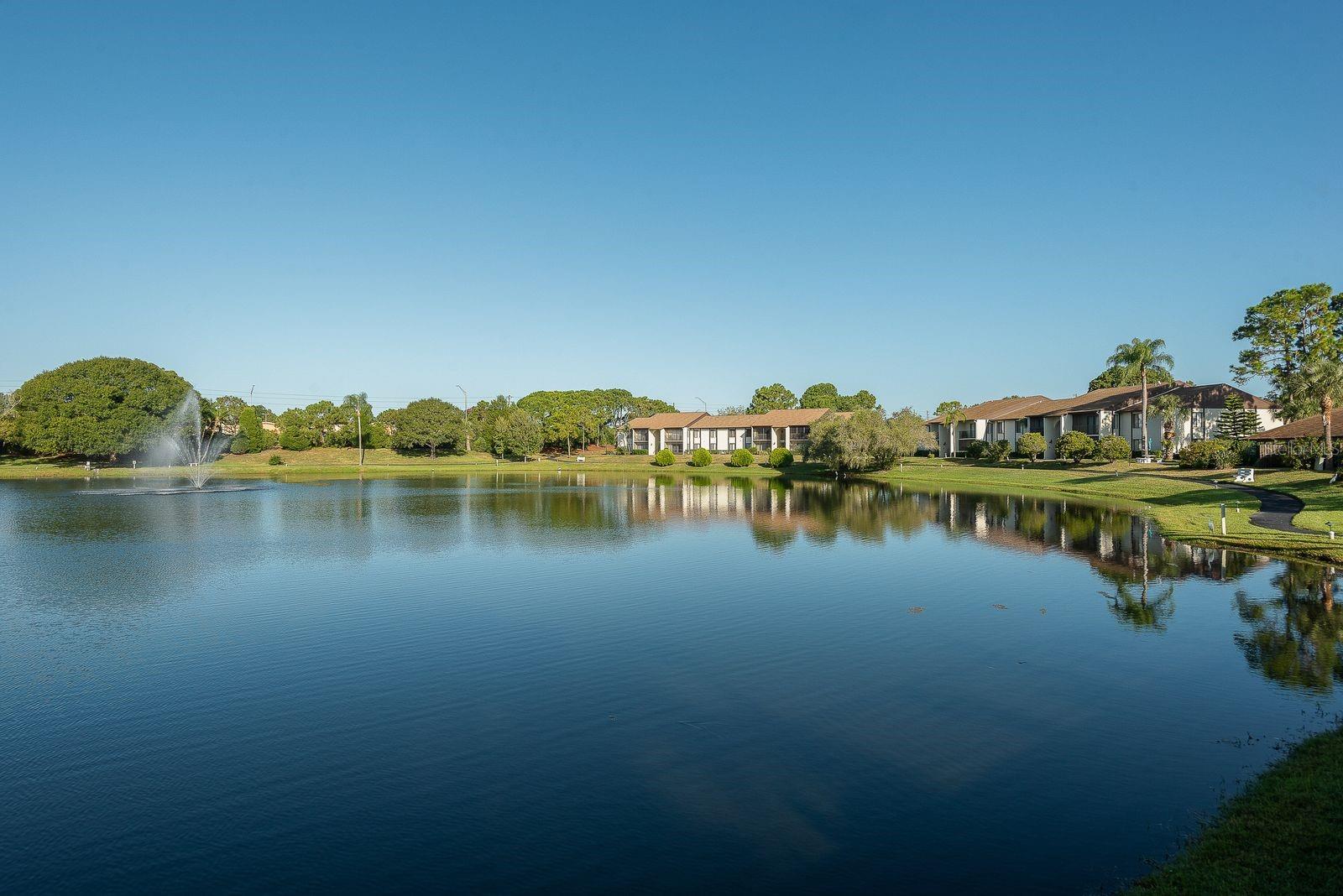 2575 PINE RIDGE WAY S #D1, PALM HARBOR, FL, 34684