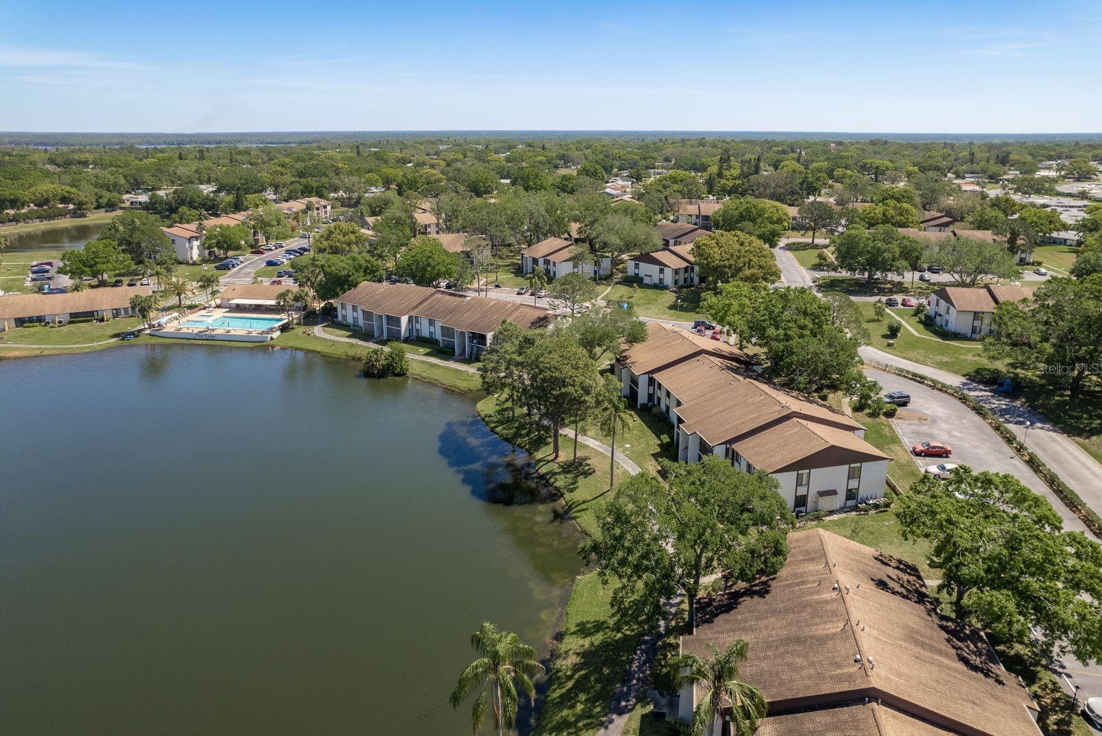 2575 PINE RIDGE WAY S #D1, PALM HARBOR, FL, 34684