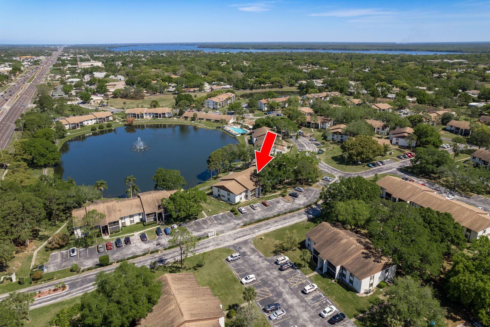 2575 PINE RIDGE WAY S #D1, PALM HARBOR, FL, 34684