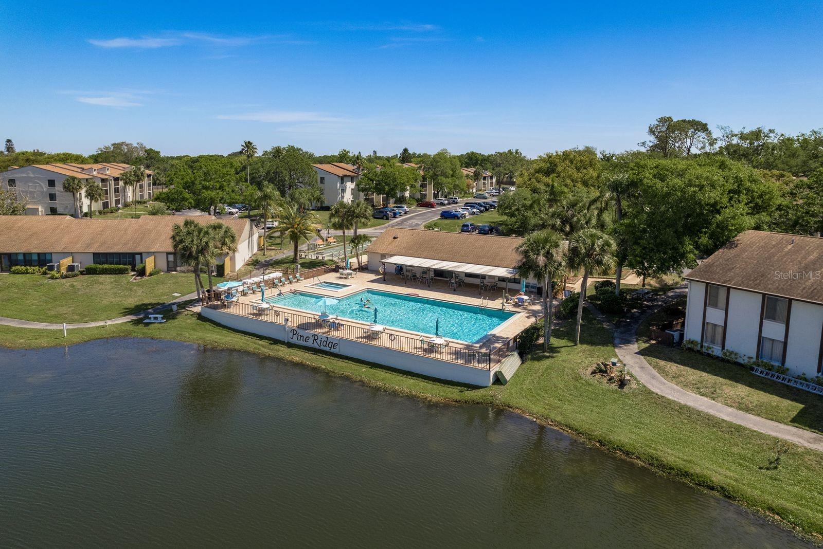 2575 PINE RIDGE WAY S #D1, PALM HARBOR, FL, 34684