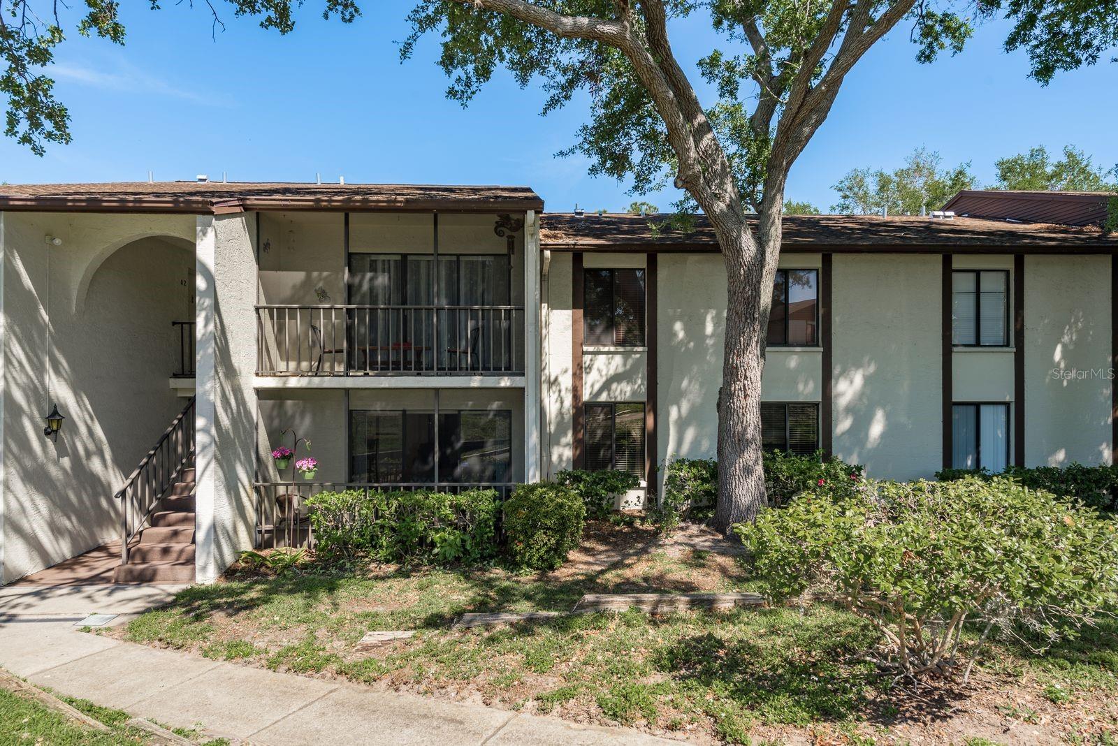2575 PINE RIDGE WAY S #D1, PALM HARBOR, FL, 34684