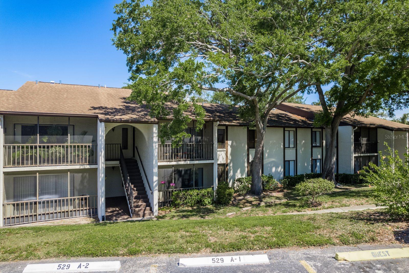 2575 PINE RIDGE WAY S #D1, PALM HARBOR, FL, 34684