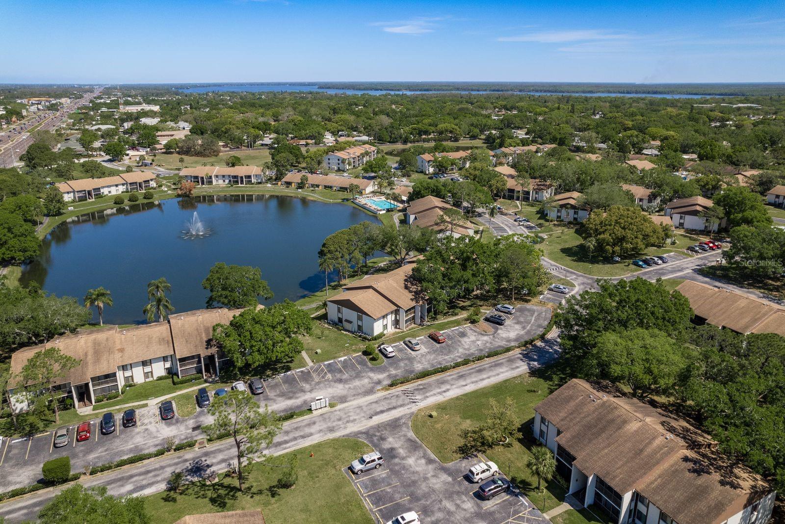 2575 PINE RIDGE WAY S #D1, PALM HARBOR, FL, 34684