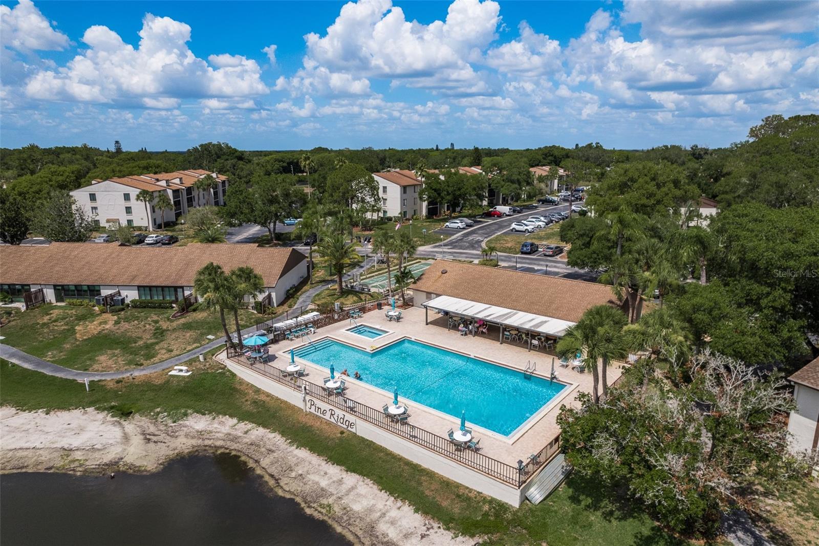2575 PINE RIDGE WAY S #D1, PALM HARBOR, FL, 34684