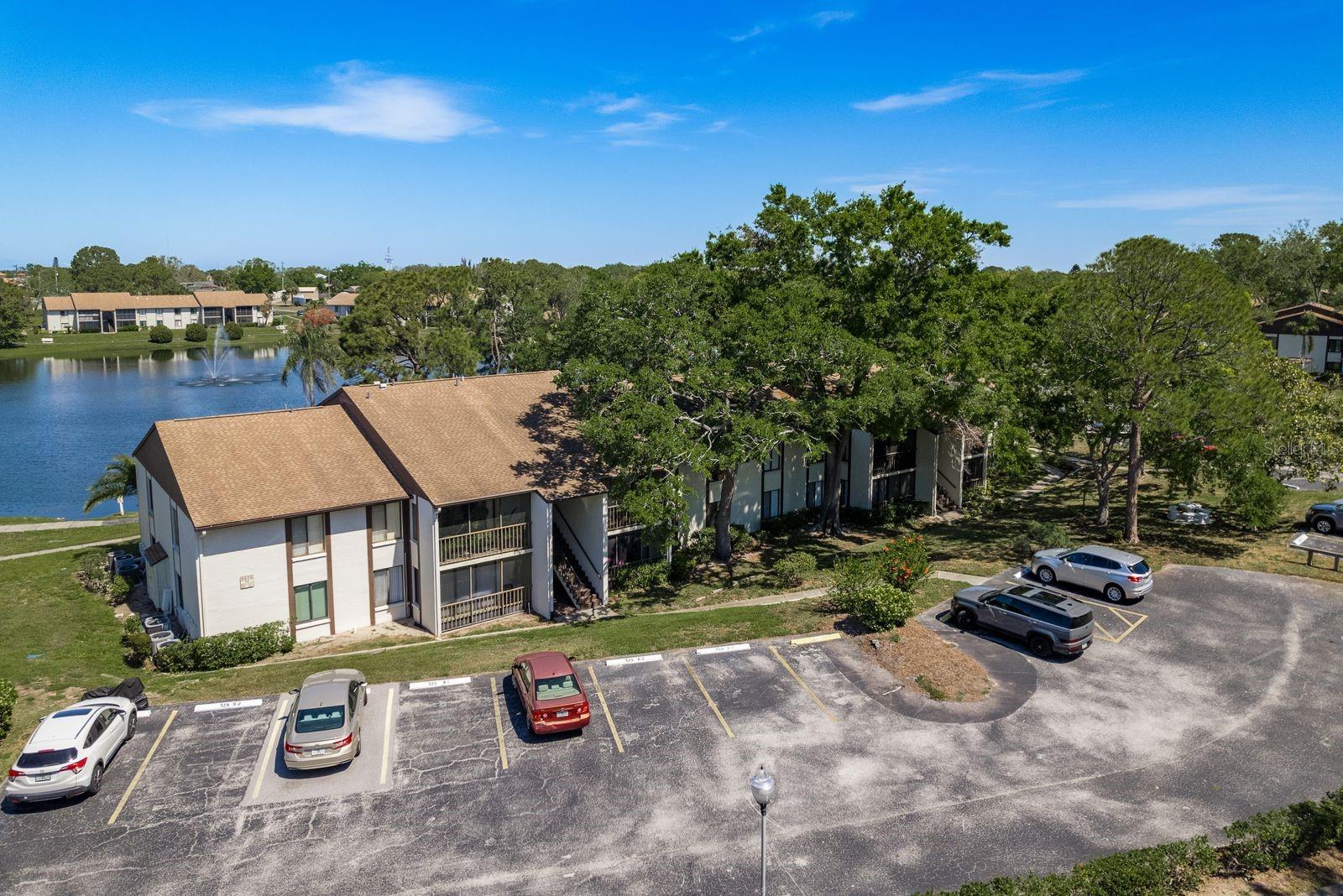 2575 PINE RIDGE WAY S #D1, PALM HARBOR, FL, 34684