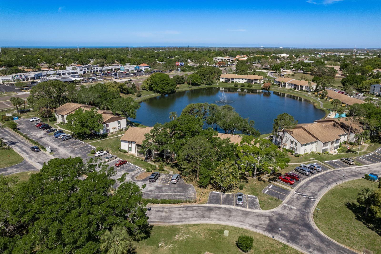 2575 PINE RIDGE WAY S #D1, PALM HARBOR, FL, 34684