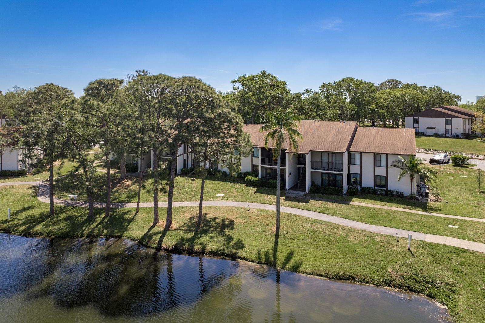 2575 PINE RIDGE WAY S #D1, PALM HARBOR, FL, 34684