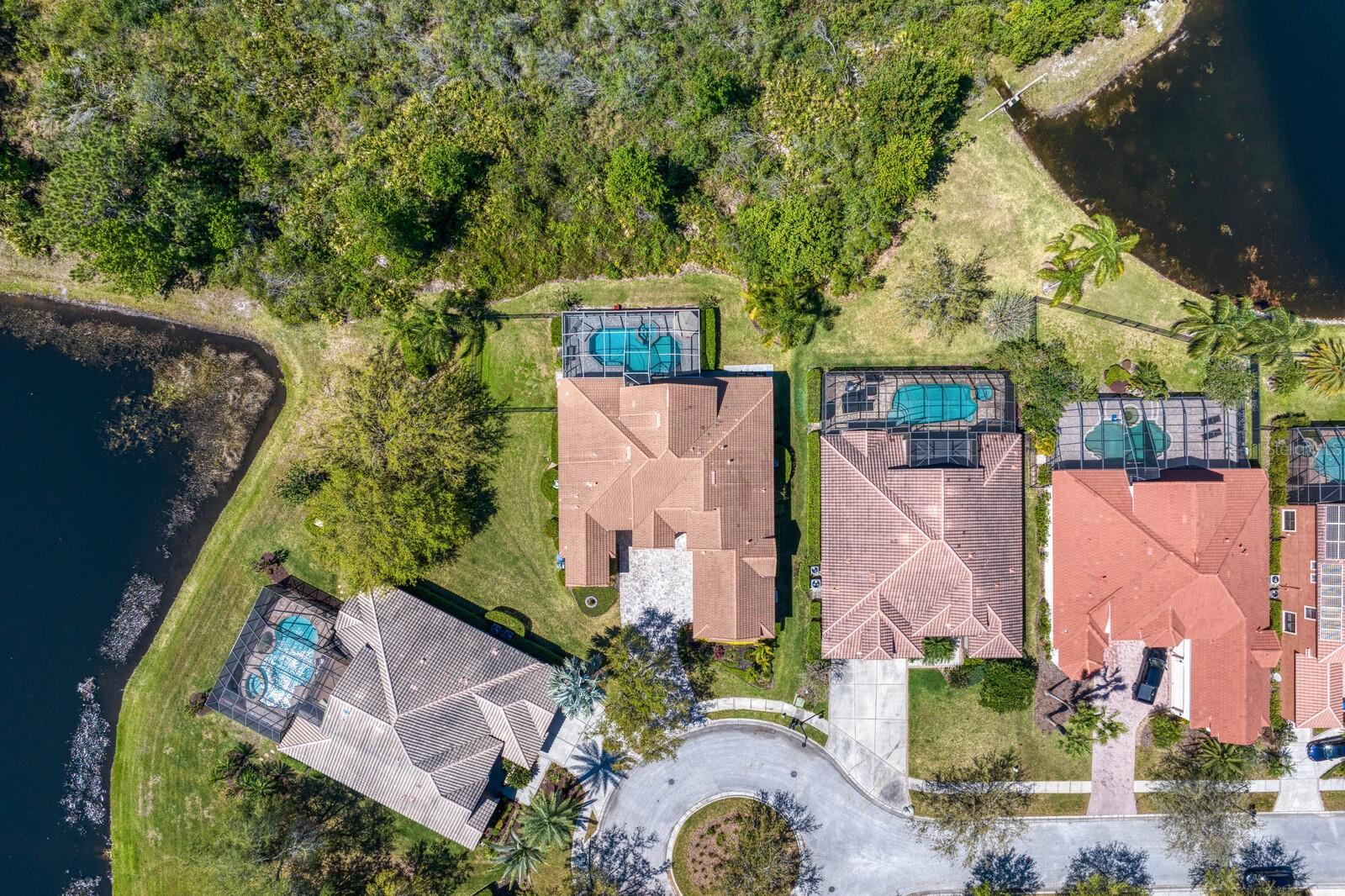 20104 FAIR HILL WAY, TAMPA, FL, 33647