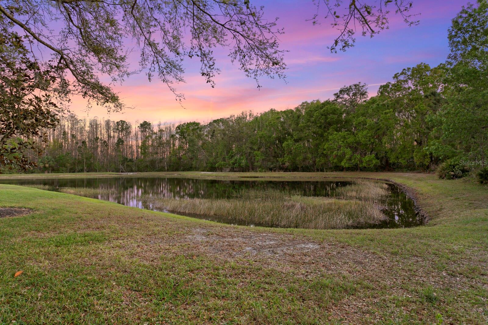 20104 FAIR HILL WAY, TAMPA, FL, 33647