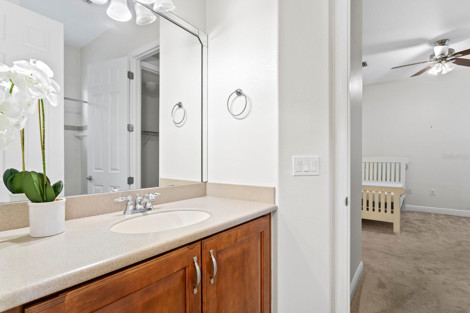 20104 FAIR HILL WAY, TAMPA, FL, 33647