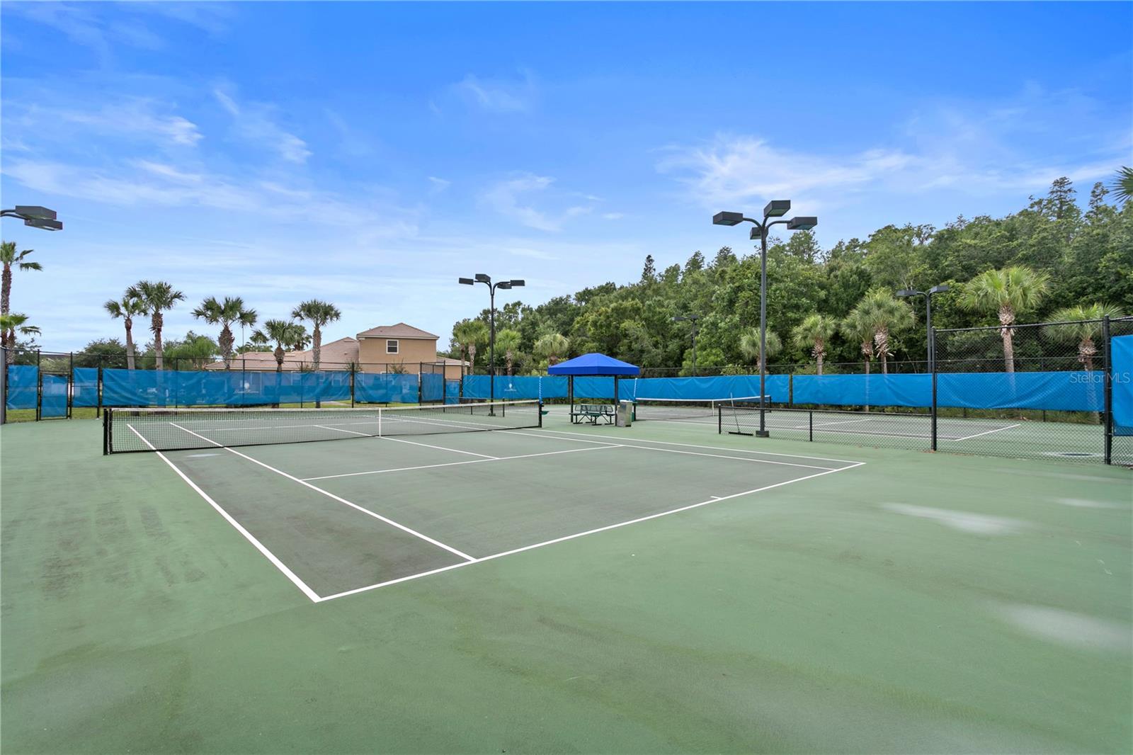 20104 FAIR HILL WAY, TAMPA, FL, 33647
