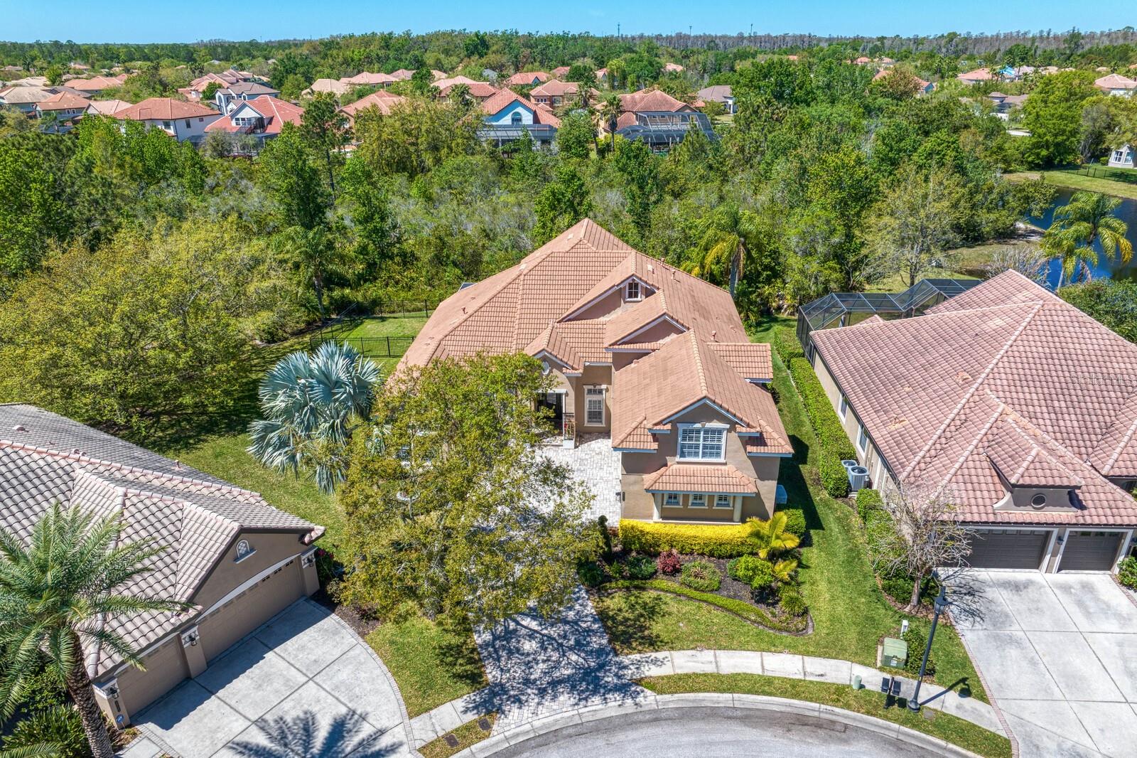 20104 FAIR HILL WAY, TAMPA, FL, 33647