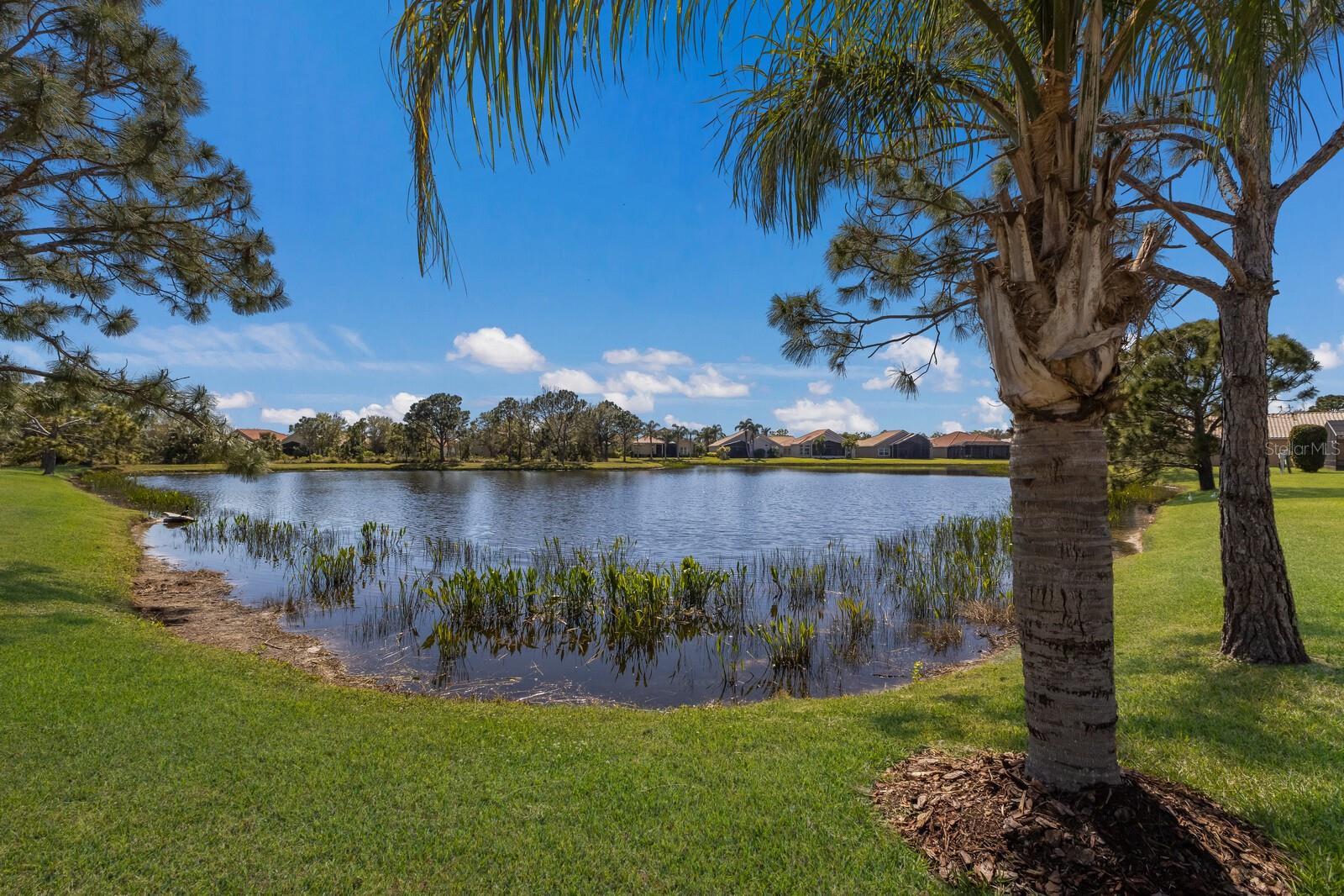 4134 63RD TER E, SARASOTA, FL, 34243