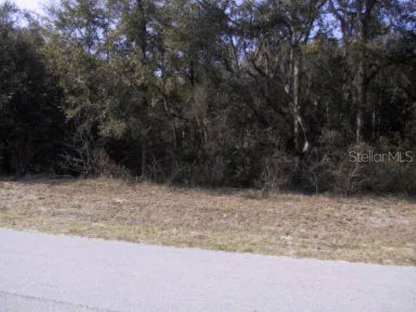 5 W PARK AVE, CHIEFLAND, FL, 32626