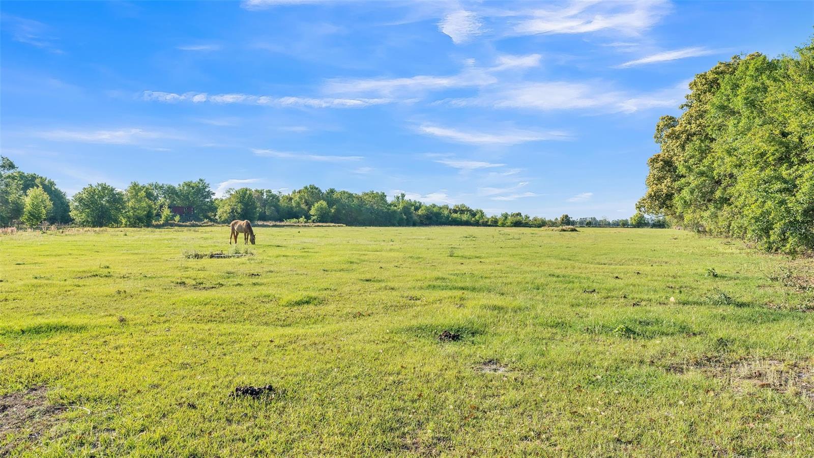 6981 SNELL RD, BARTOW, FL, 33830