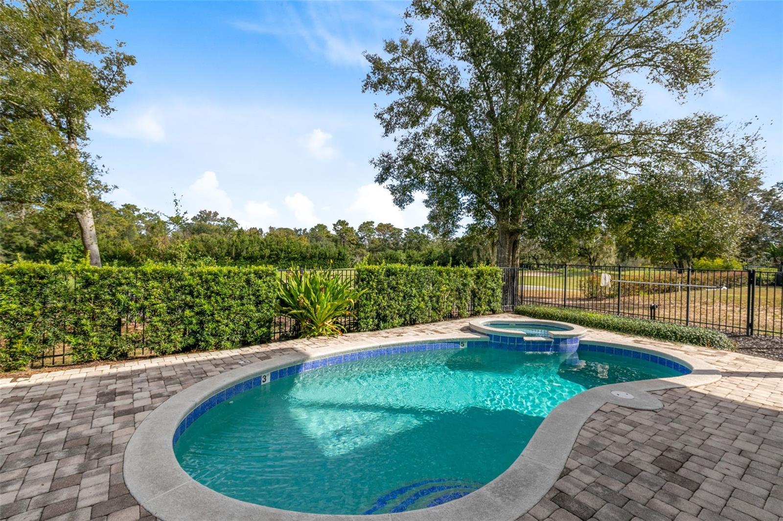 7419 GATHERING CT, REUNION, FL, 34747