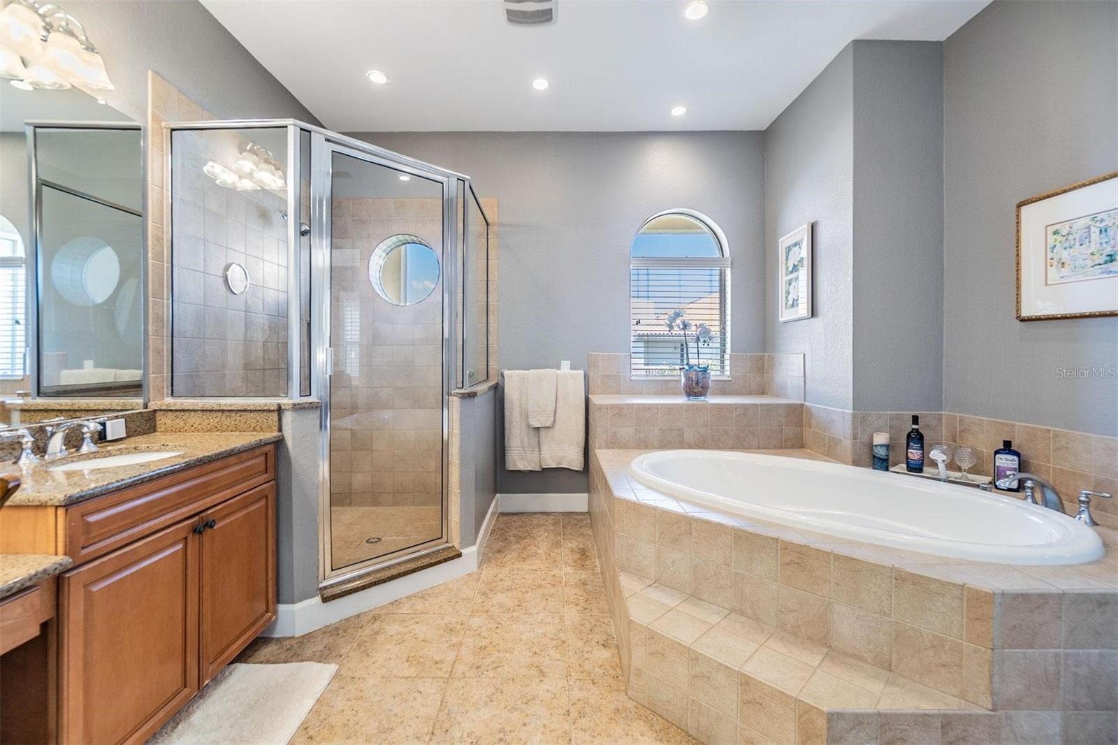 254 SEAGATE CT, DUNEDIN, FL, 34698