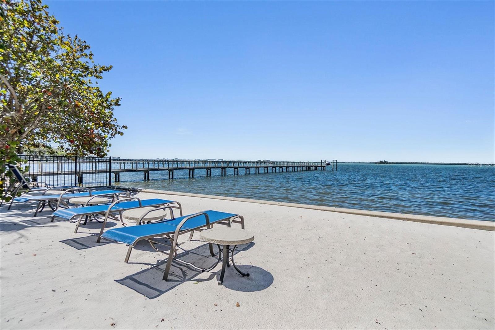 254 SEAGATE CT, DUNEDIN, FL, 34698