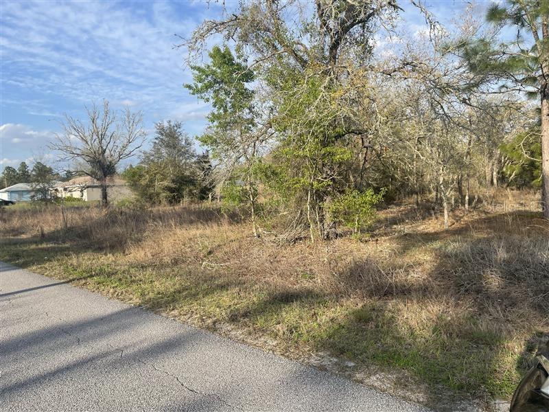Lot 33 SW PORTULACA COURT, DUNNELLON, FL, 34431