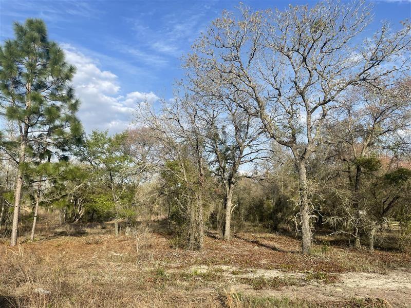 Lot 33 SW PORTULACA COURT, DUNNELLON, FL, 34431