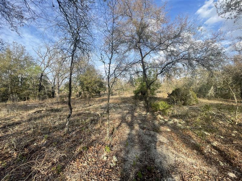 Lot 33 SW PORTULACA COURT, DUNNELLON, FL, 34431
