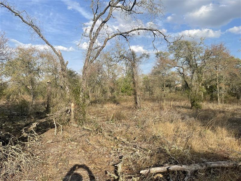Lot 33 SW PORTULACA COURT, DUNNELLON, FL, 34431