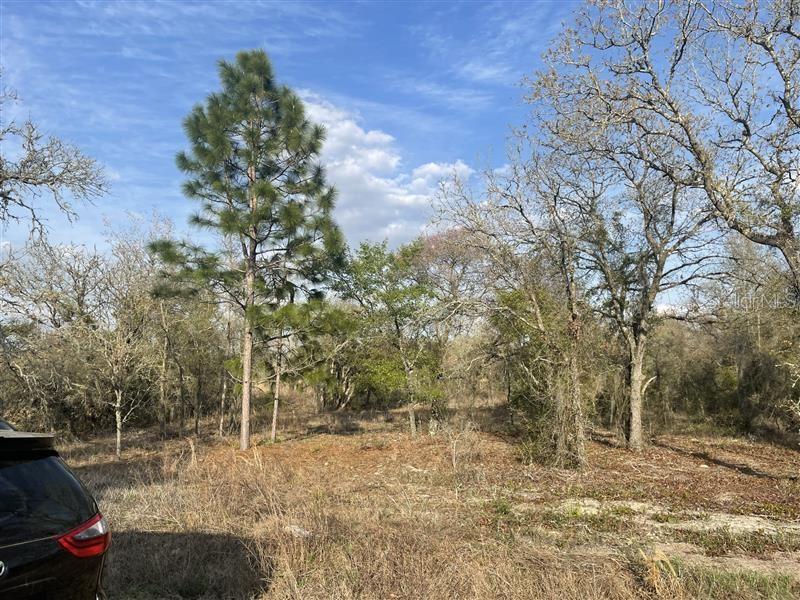 Lot 33 SW PORTULACA COURT, DUNNELLON, FL, 34431