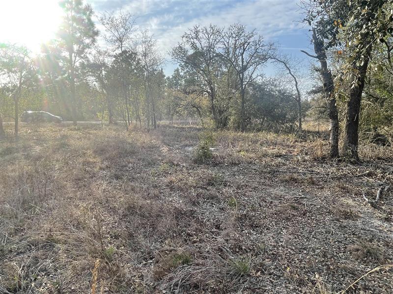 Lot 33 SW PORTULACA COURT, DUNNELLON, FL, 34431