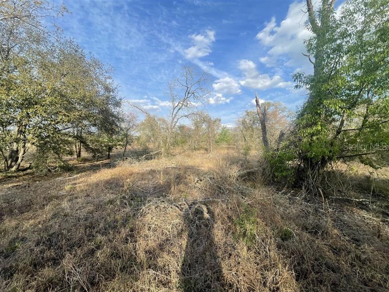 Lot 33 SW PORTULACA COURT, DUNNELLON, FL, 34431