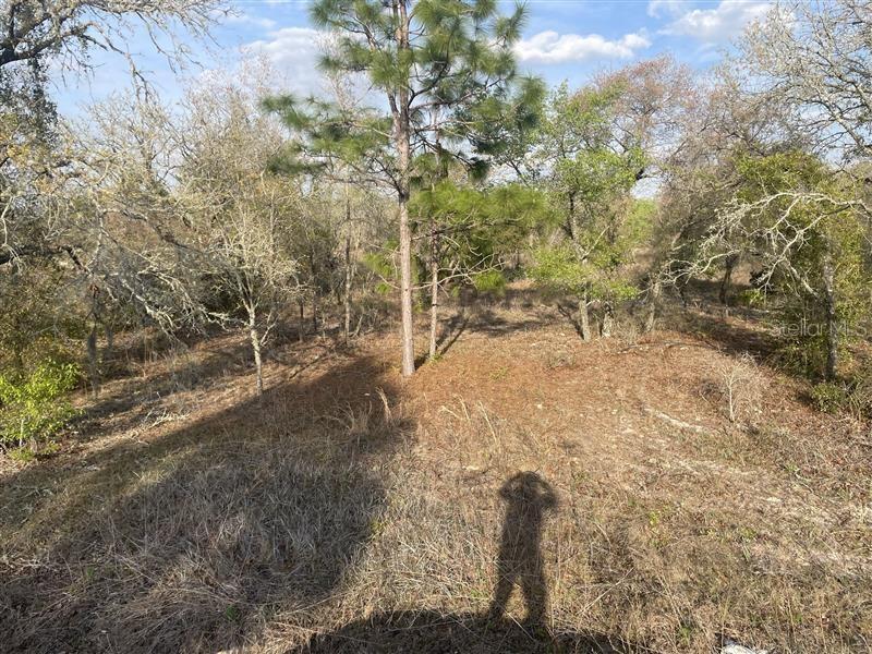 Lot 33 SW PORTULACA COURT, DUNNELLON, FL, 34431