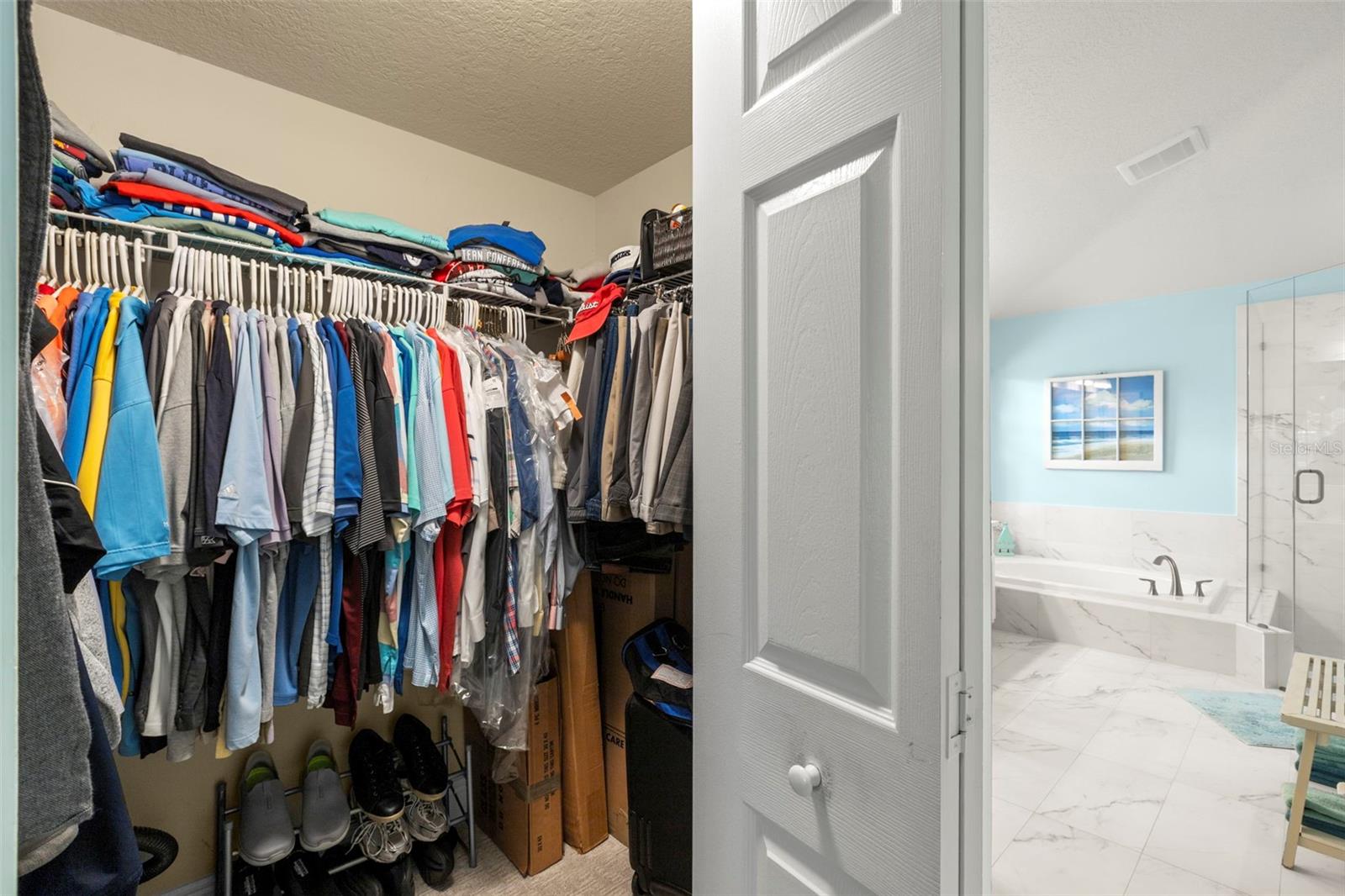 17803 HICKORY MOSS PL, TAMPA, FL, 33647