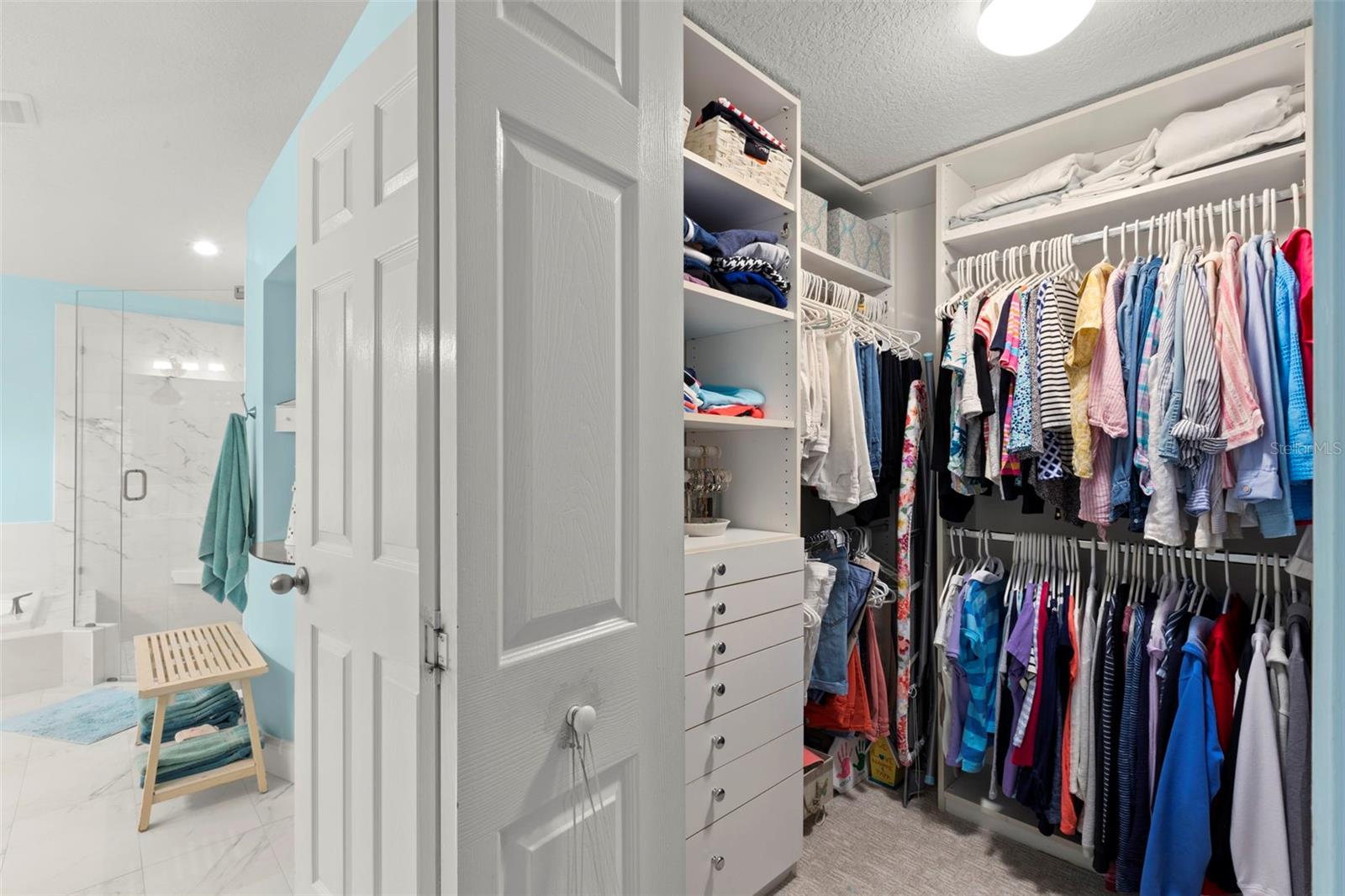 17803 HICKORY MOSS PL, TAMPA, FL, 33647