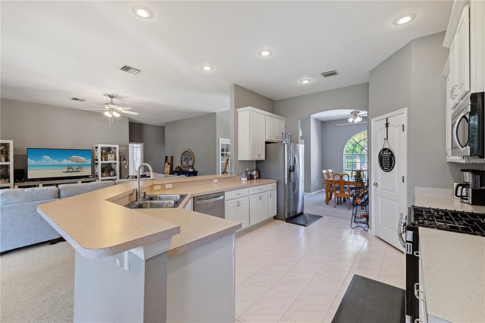 1043 CARRIAGE PARK DR, VALRICO, FL, 33594