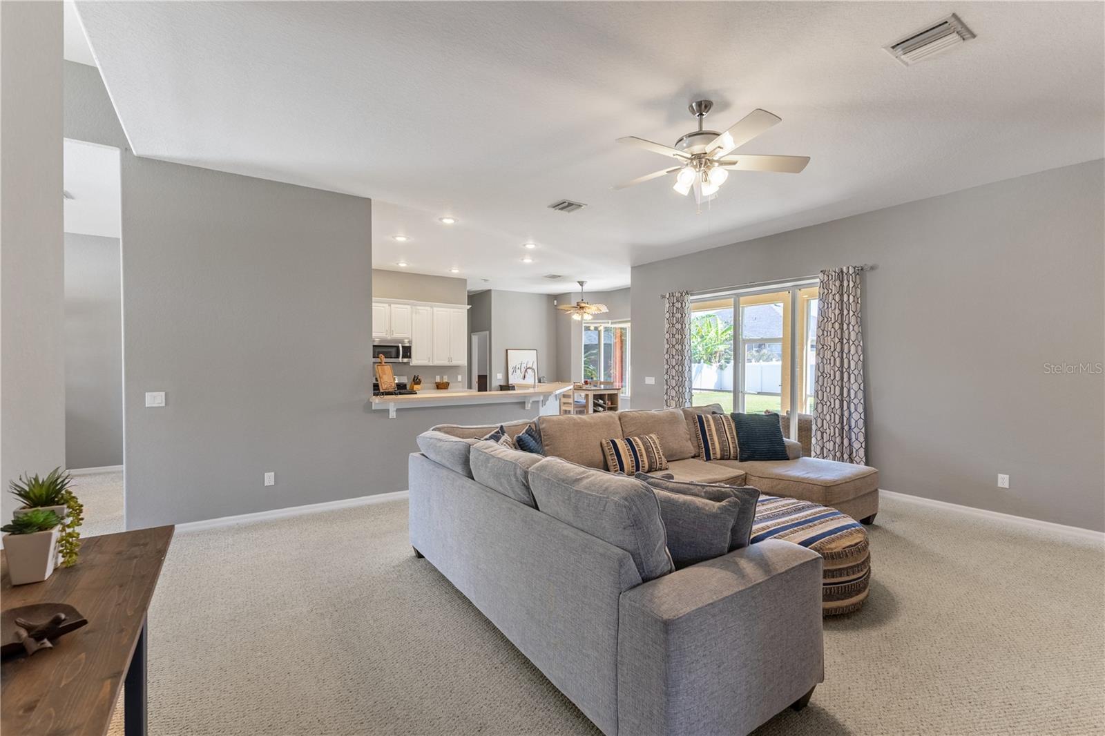 1043 CARRIAGE PARK DR, VALRICO, FL, 33594