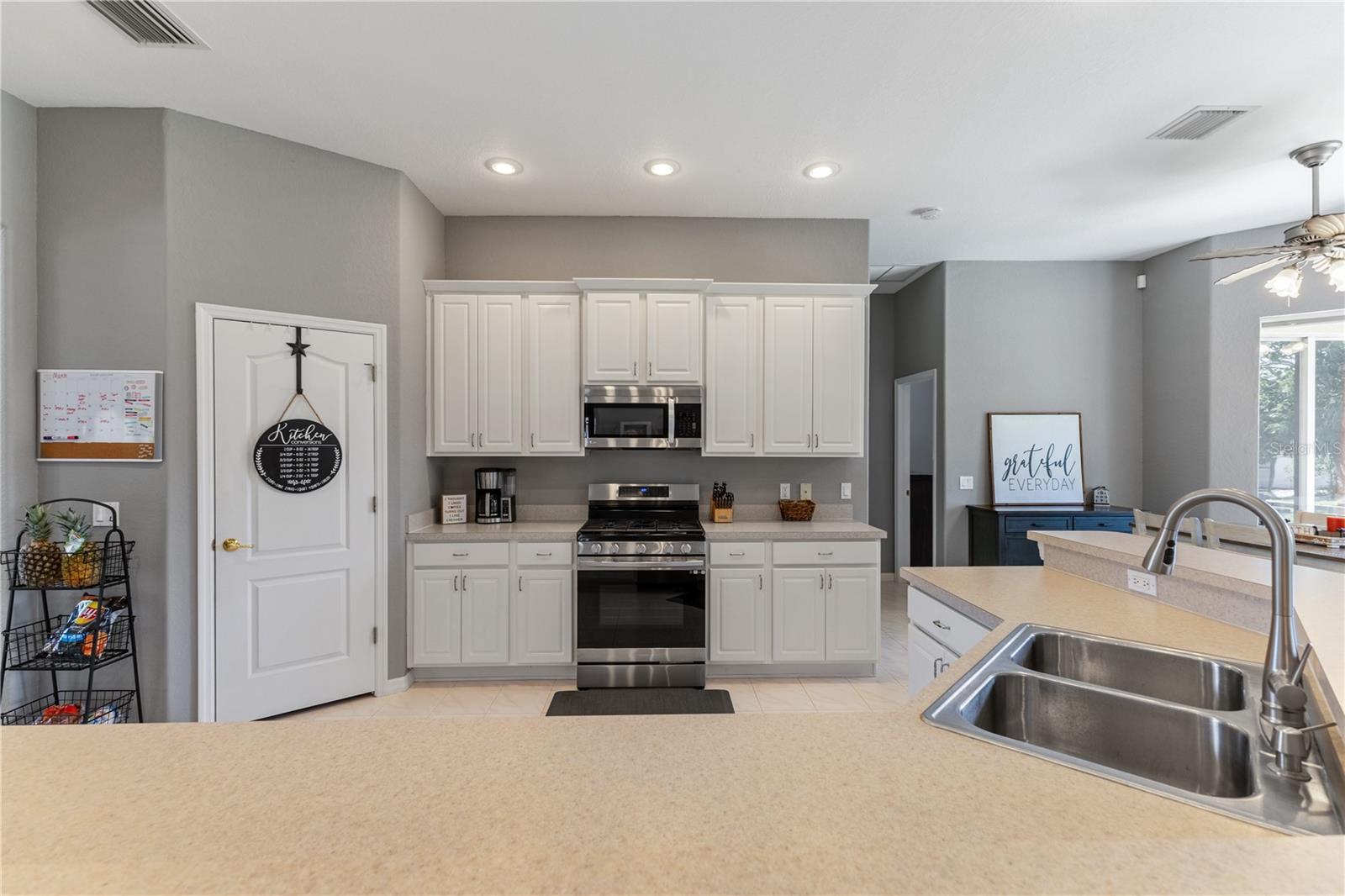 1043 CARRIAGE PARK DR, VALRICO, FL, 33594
