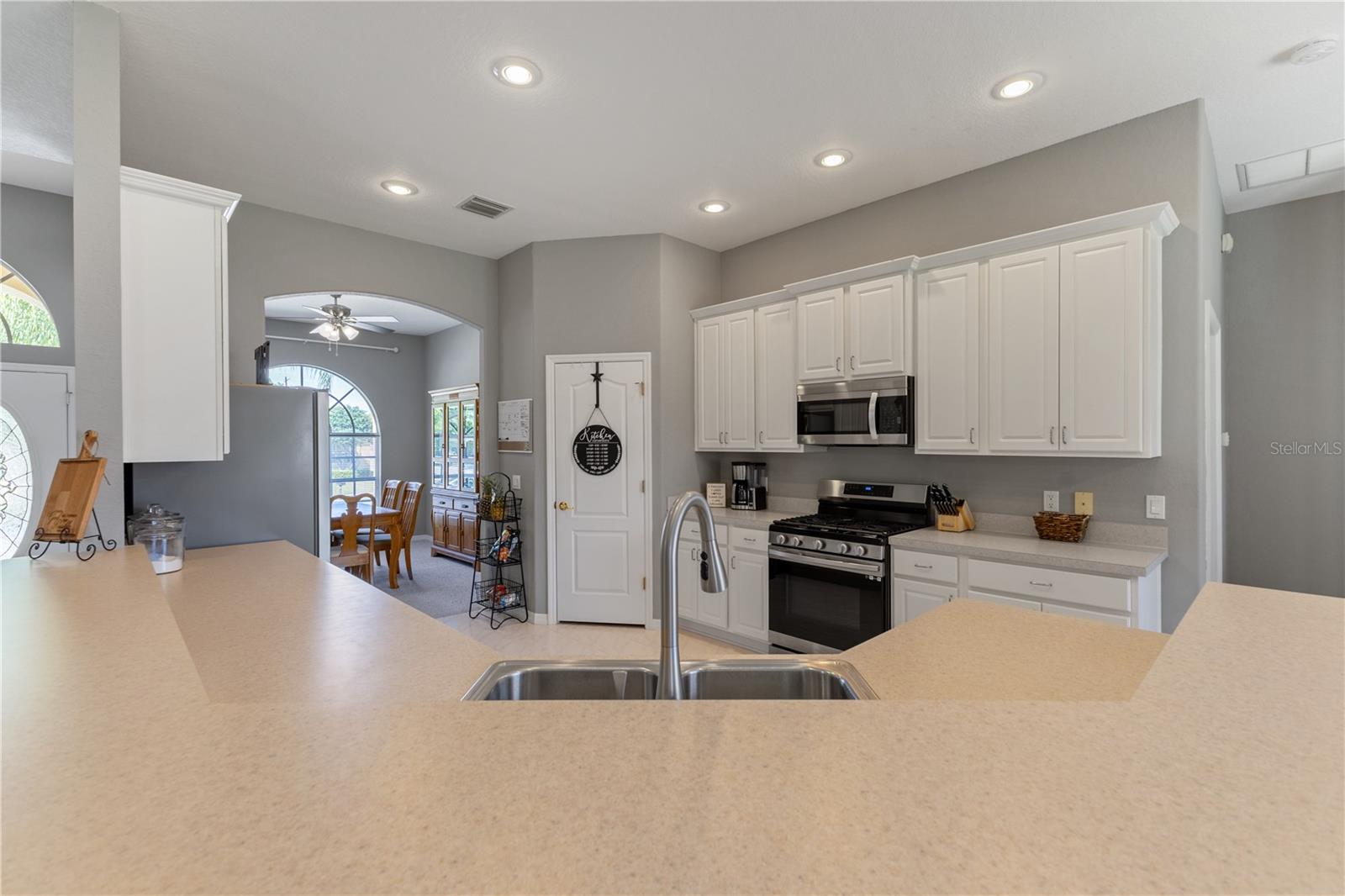 1043 CARRIAGE PARK DR, VALRICO, FL, 33594
