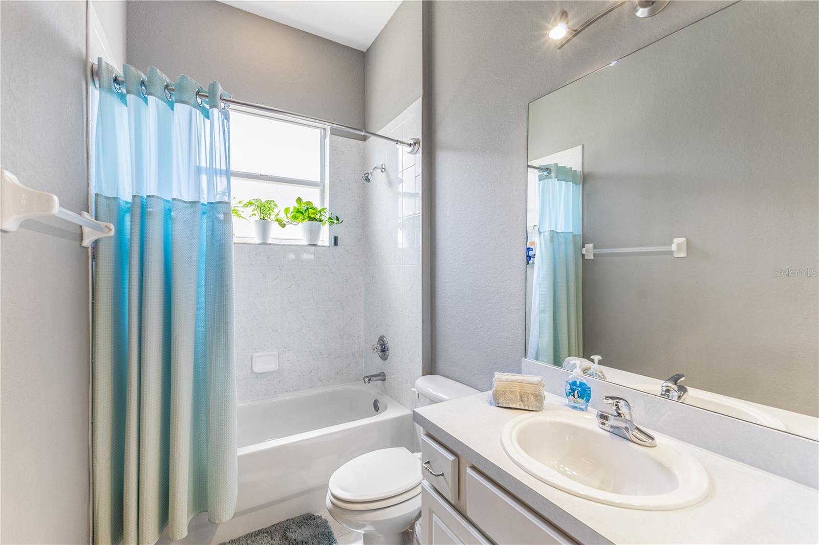 1043 CARRIAGE PARK DR, VALRICO, FL, 33594