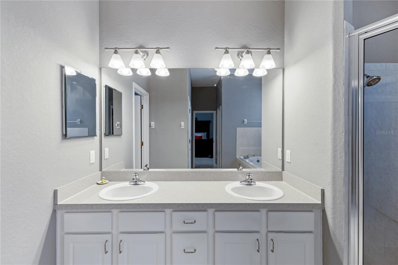 1043 CARRIAGE PARK DR, VALRICO, FL, 33594