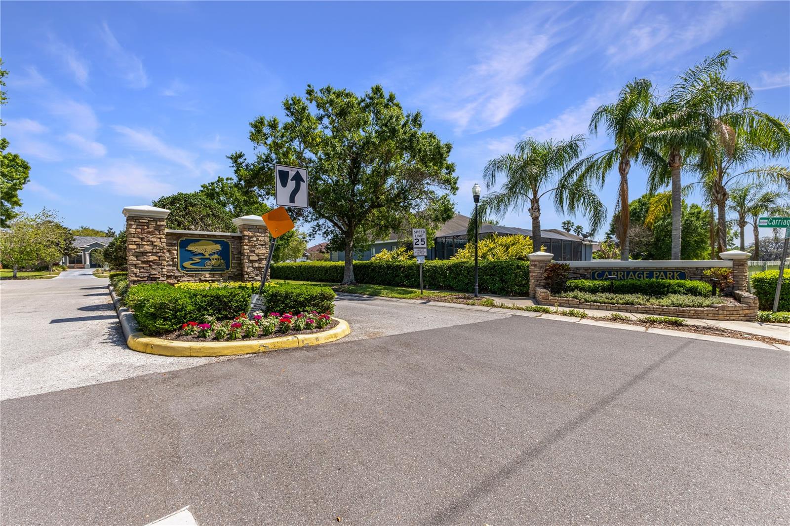 1043 CARRIAGE PARK DR, VALRICO, FL, 33594