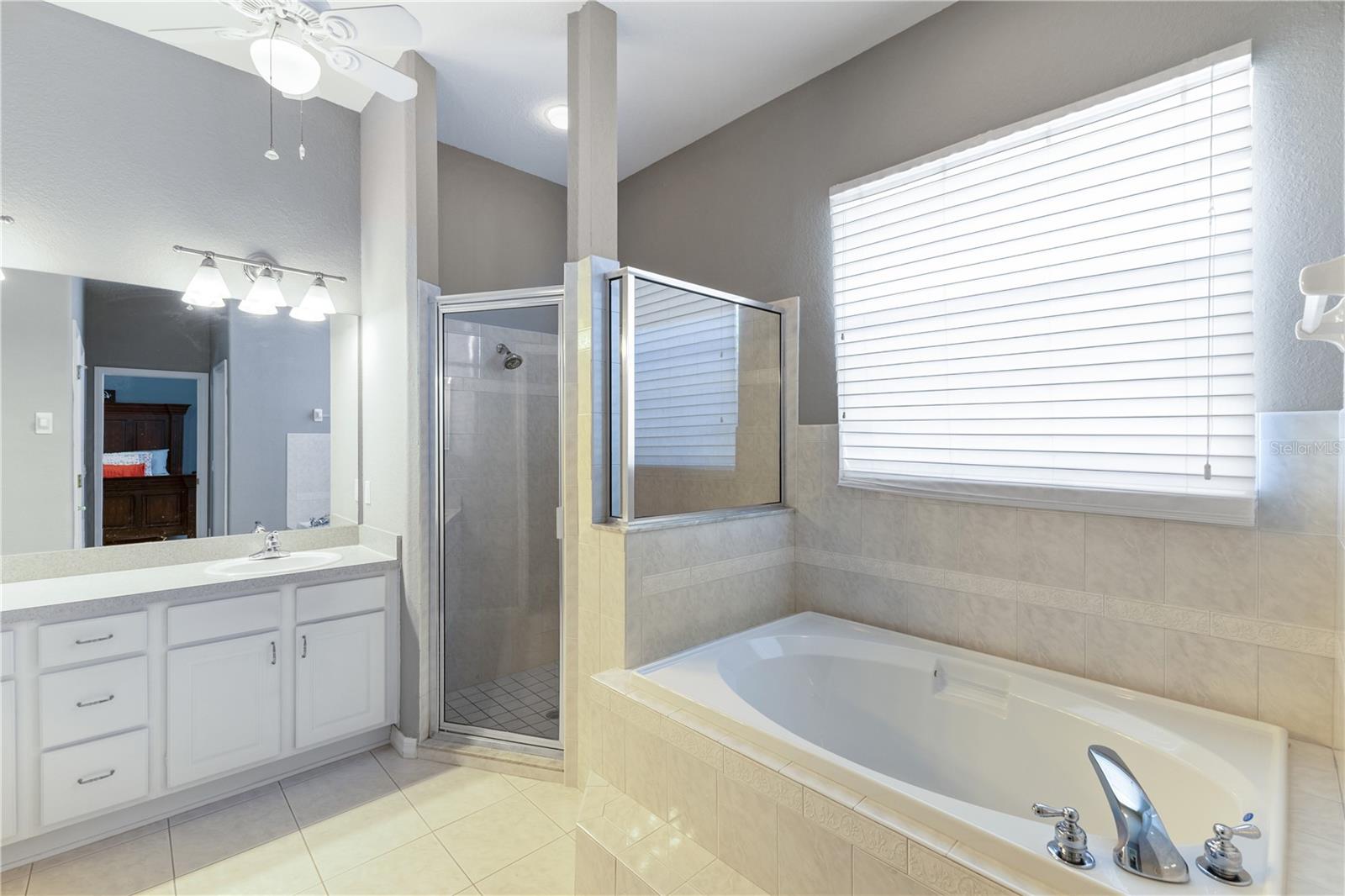1043 CARRIAGE PARK DR, VALRICO, FL, 33594