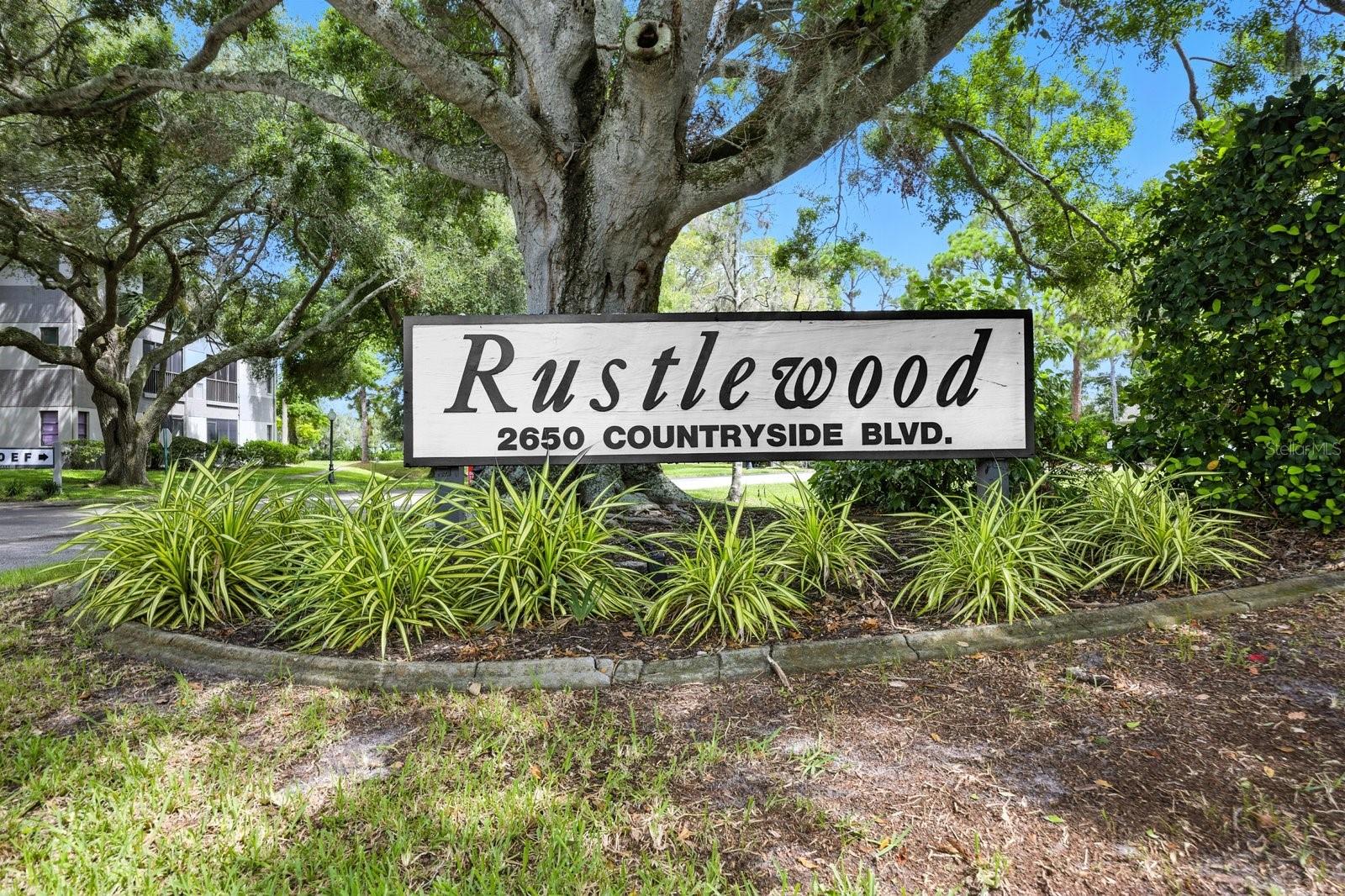 2650 COUNTRYSIDE BLVD #B102, CLEARWATER, FL, 33761