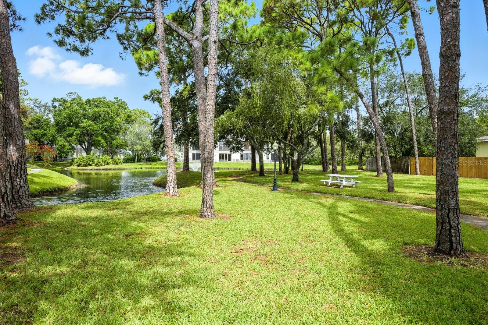 2650 COUNTRYSIDE BLVD #B102, CLEARWATER, FL, 33761
