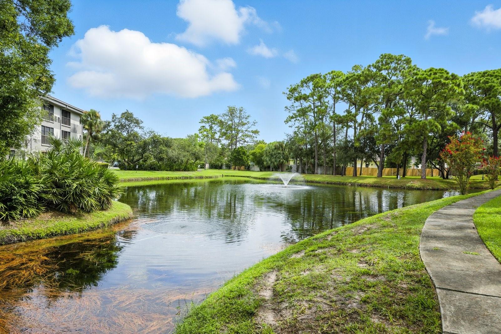 2650 COUNTRYSIDE BLVD #B102, CLEARWATER, FL, 33761