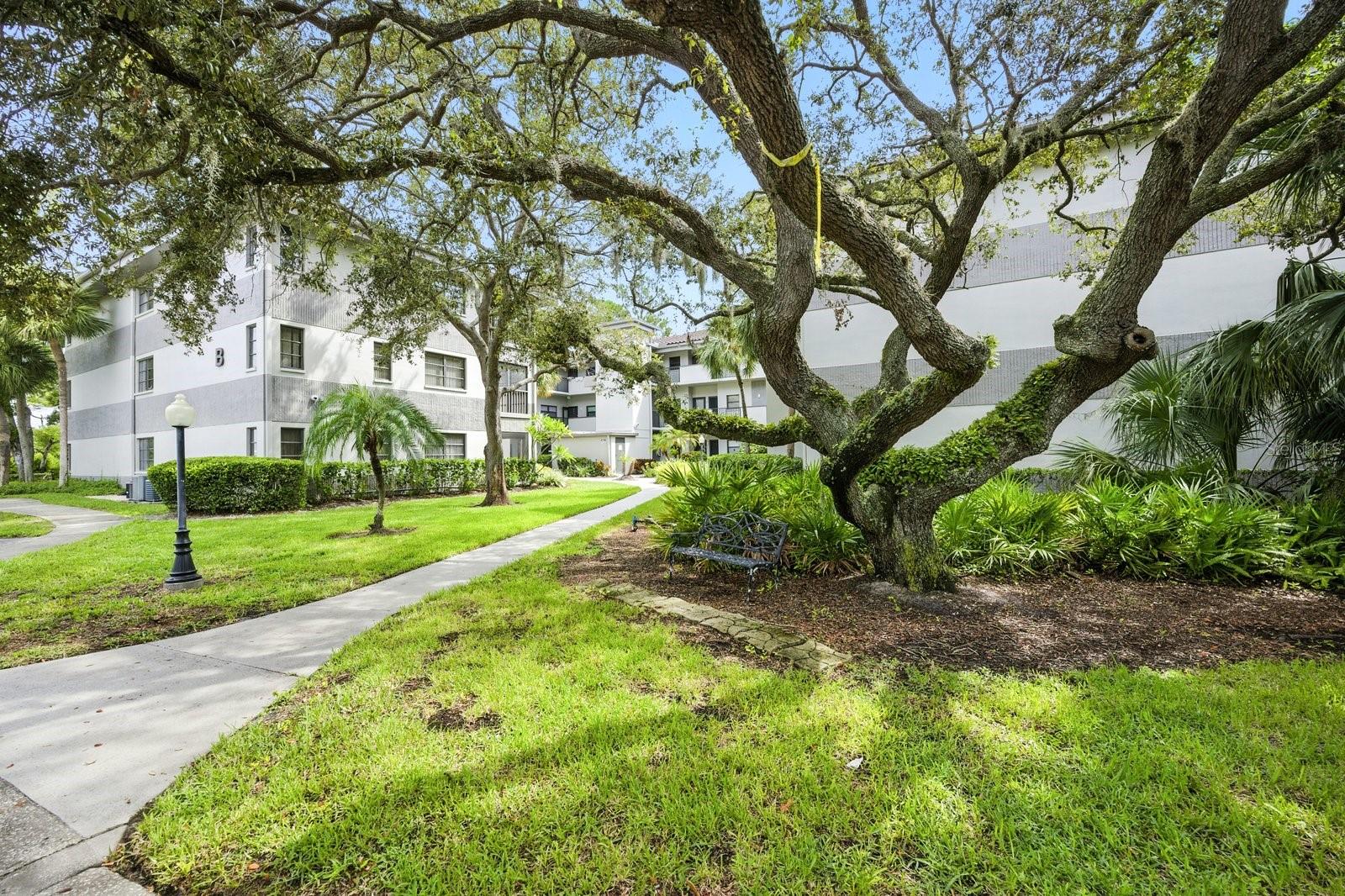 2650 COUNTRYSIDE BLVD #B102, CLEARWATER, FL, 33761