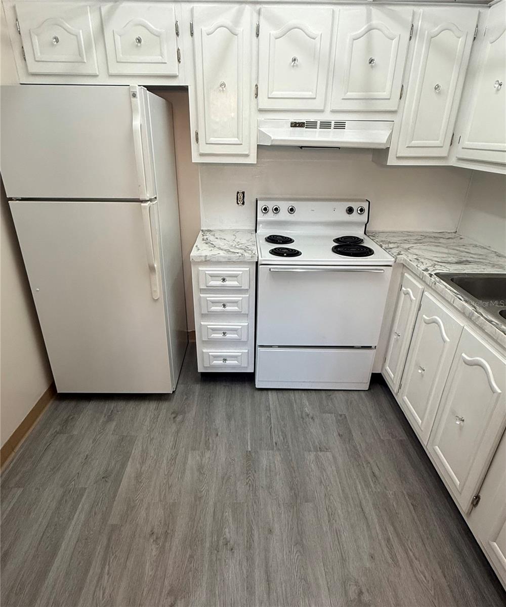11719 BOYNTON LANE, NEW PORT RICHEY, FL, 34654