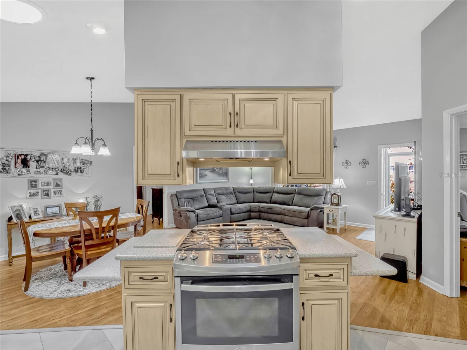 26053 NEWCOMBE CIR, LEESBURG, FL, 34748