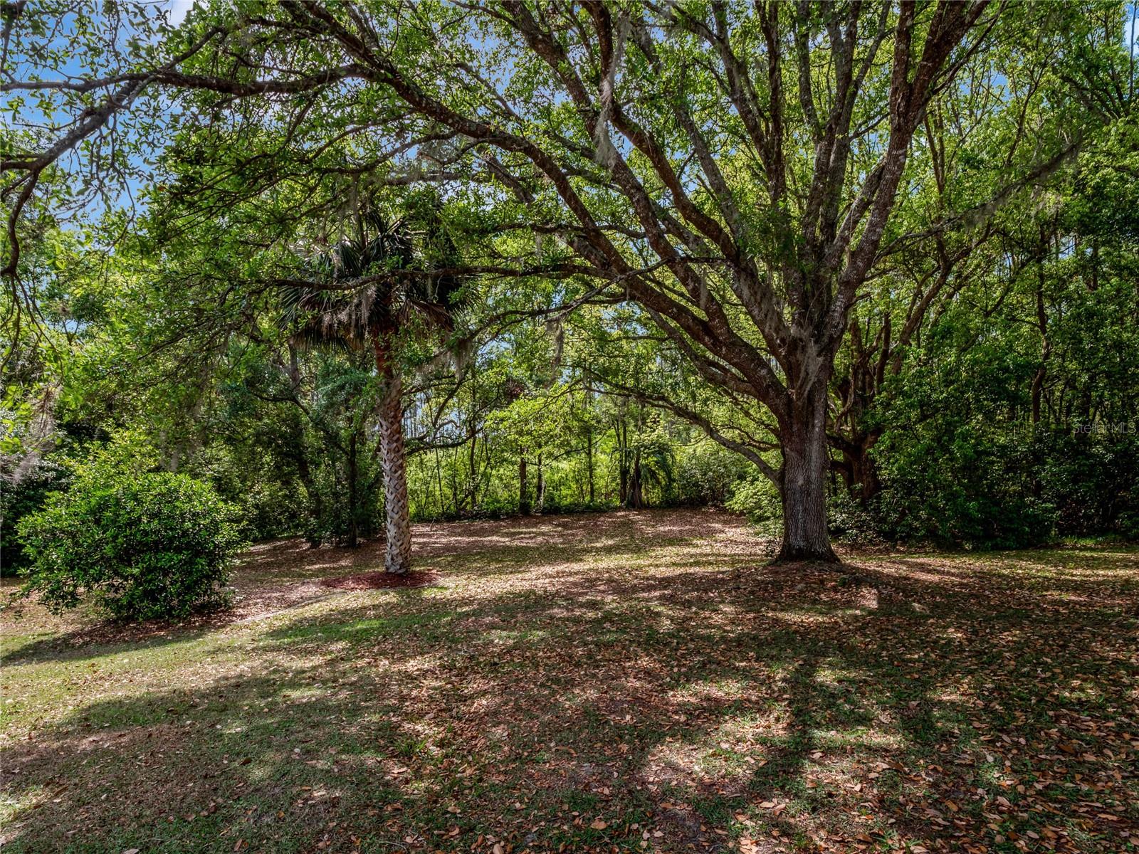 26053 NEWCOMBE CIR, LEESBURG, FL, 34748