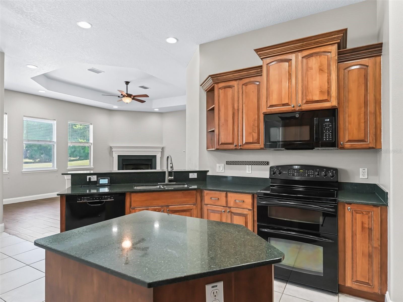 13945 SE 156TH LN, WEIRSDALE, FL, 32195