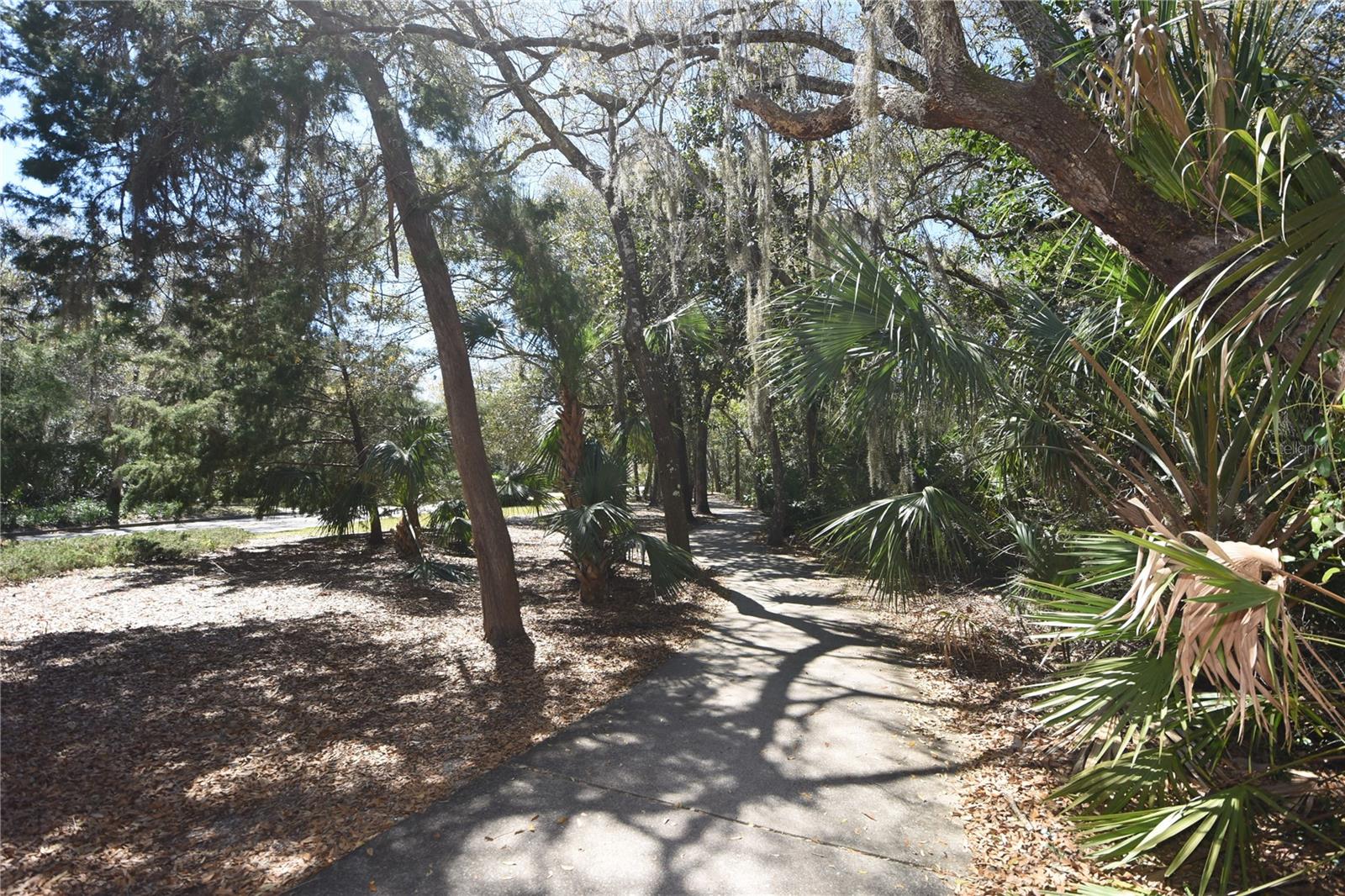 14 WILDWOOD LN, PALM COAST, FL, 32137